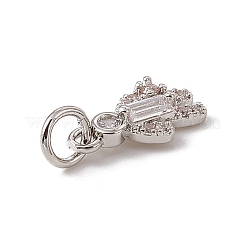 Brass Micro Pave Cubic Zirconia Charms&nbsp;ZIRC-F132-08P