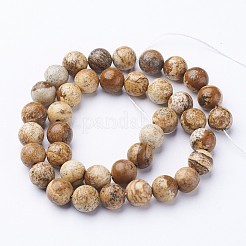 Gemstone Beads Strands&nbsp;X-GSR016