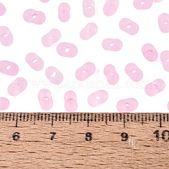 FGB Frosted Transparent Glass Seed Beads&nbsp;SEED-N013-06A-05