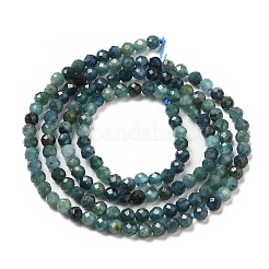Natural Blue Tourmaline Beads Strands&nbsp;G-E608-A05-B