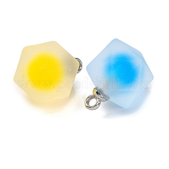 Frosted Resin Polygon Pendants&nbsp;RESI-U002-10