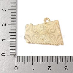 Alloy Enamel Pendants&nbsp;FIND-H047-04G-02