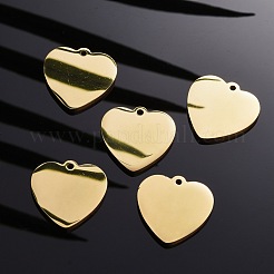 304 Stainless Steel Pendants&nbsp;STAS-I140-10A-G