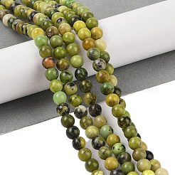 Natural Serpentine Beads Strands&nbsp;G-G829-06-6mm