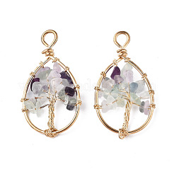 Natural Fluorite Pendants&nbsp;G-T131-95B-03