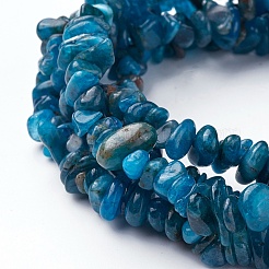 Natural Apatite Beads Strands&nbsp;G-P427-02