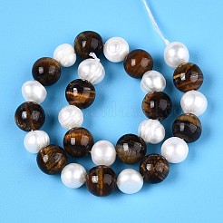 Natural Tiger Eye Round & Natural Cultured Freshwater Pearl Grooved Potato Beads Strands&nbsp;PEAR-N019-10