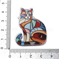 Acrylic Pendants&nbsp;OACR-I016-02D