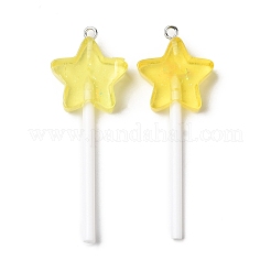 Resin Pendants&nbsp;RESI-K024-01