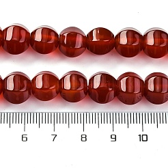 Dyed & Heated Natural Carnelian Beads Strands&nbsp;G-G177-I01-01
