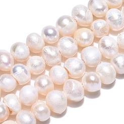 Natural Cultured Freshwater Pearl Beads Strands&nbsp;PEAR-N013-04E