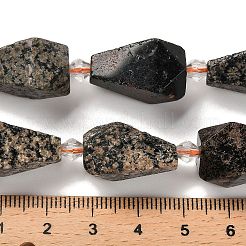 Natural Snowflake Obsidian Beads Strands&nbsp;G-NH0005-B03-01