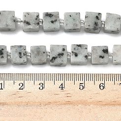 Natural Sesame Jasper Beads Strands&nbsp;G-D338-A20