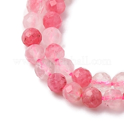 Natural Rhodonite Beads Strands&nbsp;G-Z083-A01-3mm
