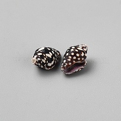 50G Natural Conch Shell Beads&nbsp;SSHEL-WH0001-64