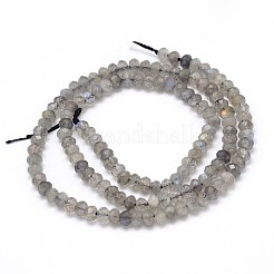 Natural Labradorite Rondelle Bead Strands&nbsp;G-O095-05-A