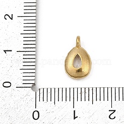 304 Stainless Steel Glass Charms&nbsp;LS-STAS-D366-03G