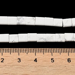 Natural Howlite Beads Strands&nbsp;G-F762-A12-01