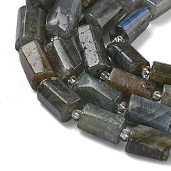 Natural Labradorite Beads Strands&nbsp;G-C270-K19-02