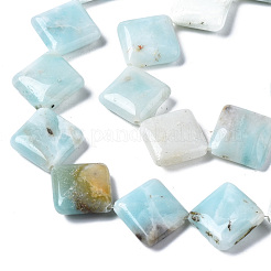 Natural Amazonite Beads Strands&nbsp;G-N0326-73A-01