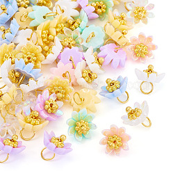 50Pcs Opaque Resin Charms&nbsp;PALLOY-TA00223