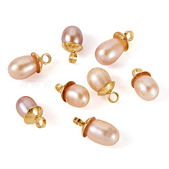 8Pcs Natural Pearl Pendants&nbsp;PALLOY-TAC0180