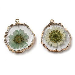 Inner Dried Flower Resin Pendants&nbsp;X-RESI-P028-02KCG-02