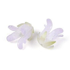 Heat Shrink Acrylic Bead Caps&nbsp;OACR-N155-04C