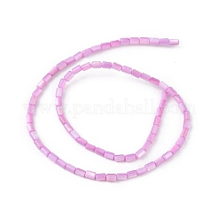 Natural Freshwater Shell Dyed Beads Strands&nbsp;SHEL-M018-12-08