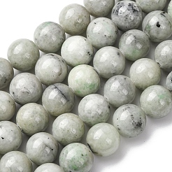 Natural Chinese Jade Beads Strands&nbsp;G-H343-D08-12mm