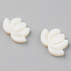 Natural Freshwater Shell Beads&nbsp;SHEL-S276-103