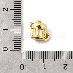 Brass Charms&nbsp;KK-I364-10G-02