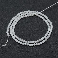 Natural Rainbow Moonstone Beads Strands&nbsp;G-E411-08-3mm