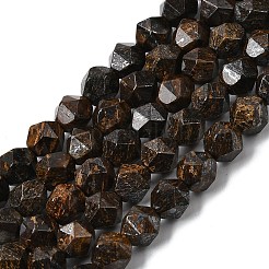 Natural Bronzite Beads Strands&nbsp;G-Z119-A30-01