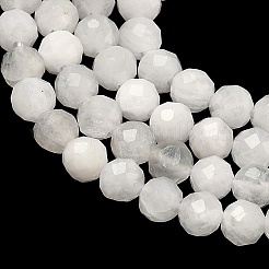 Natural Rainbow Moonstone Beads Strands&nbsp;G-B168-A11-3mm