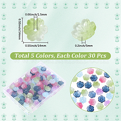 150Pcs 5 Colors Transparent Spray Paint Glass Bead Caps&nbsp;GLAA-PA0001-49