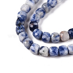 Natural Blue Spot Jasper Beads Strands&nbsp;G-N342-113