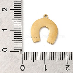304 Stainless Steel Charms&nbsp;STAS-K263-09G