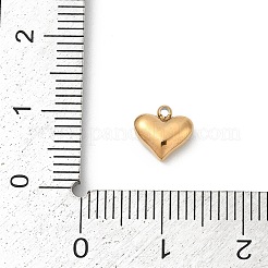 304 Stainless Steel Pendants&nbsp;STAS-L283-23G