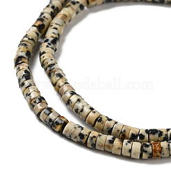 Natural Dalmatian Jasper Beads Strands&nbsp;G-E612-A01-B
