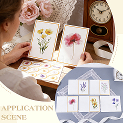 12Pcs Flower Paper Postcard with 12Pcs Rectangle Blank Kraft Paper Envelopes and 12Pcs Stickers Kits&nbsp;DIY-WR0005-62