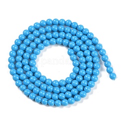 Synthetic Turquoise Beads Strands&nbsp;G-U004-02F