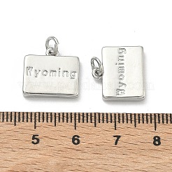 Brass Pendants&nbsp;KK-D229-22P
