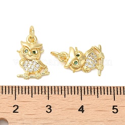Rack Plating Brass Micro Pave Cubic Zirconia Pendants&nbsp;KK-K377-62G