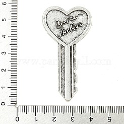 Tibetan Style Alloy Big Pendants&nbsp;FIND-M056-07C-AS
