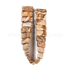 Natural Picture Jasper Beads Strands&nbsp;G-G118-C05-01