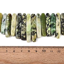 Natural Serpentine Beads Strands&nbsp;G-Q616-06D