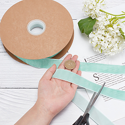 Flocking Ribbon&nbsp;SRIB-WH0009-04B-02