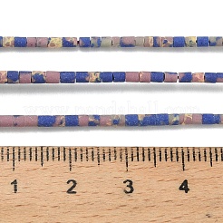 Dyed Synthetic Turquoise Beads Strands&nbsp;G-P594-01B-09