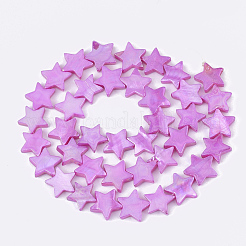 Freshwater Shell Beads Strands&nbsp;SHEL-S276-51